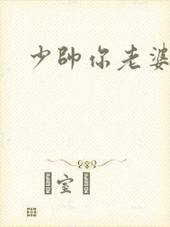 少帅你老婆