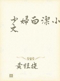 少妇白洁小说全文