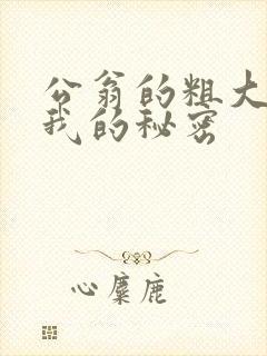 公翁的粗大放进我的秘密