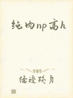 纯肉np高h