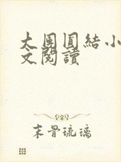 大团圆结小茹全文阅读