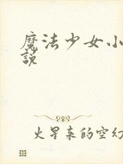 魔法少女小圆小说