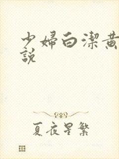 少妇白洁黄色小说