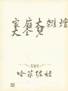 家庭大杂烩小说大全儿