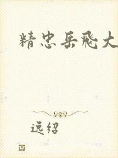 精忠岳飞大结局