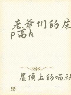 老爷们的床奴np高h