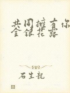 共同拥有你by金银花露