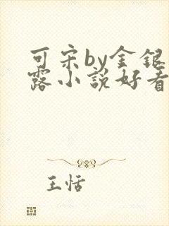 可宋by金银花露小说好看吗