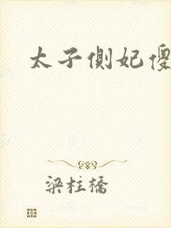 太子侧妃傻乎乎