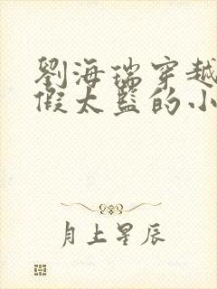 刘海瑞穿越后宫假太监的小说