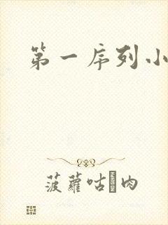 第一序列小说