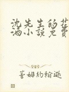 沈先生的花式调酒小说免费阅读