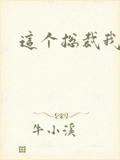 这个总裁我要了