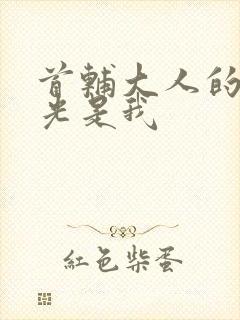 首辅大人的白月光是我