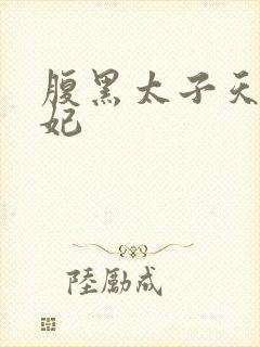 腹黑太子天降萌妃