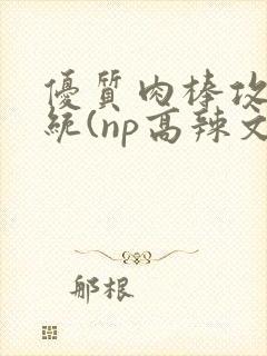 优质肉棒攻略系统(np高辣文)