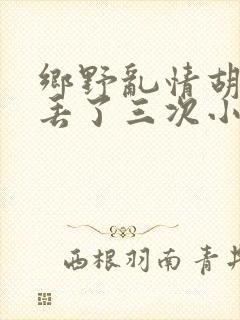 乡野乱情胡秀英丢了三次小说