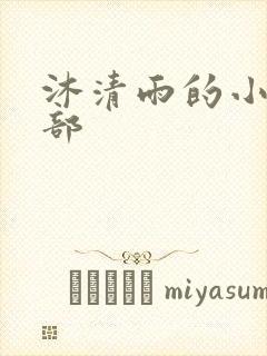 沐清雨的小说全部