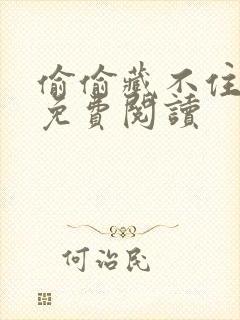 偷偷藏不住小说免费阅读