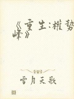 《重生:权势巅峰》