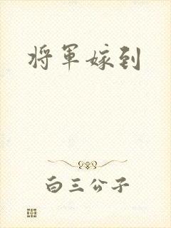 将军嫁到