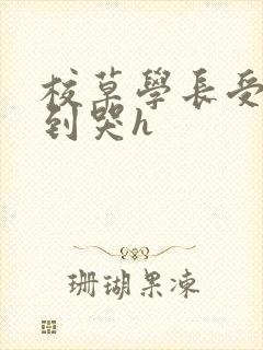 校草学长受被做到哭h