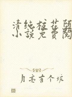 清纯校花堕落记小说免费阅读