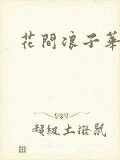 花间浪子华云龙