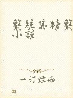 系统集精系统 小说