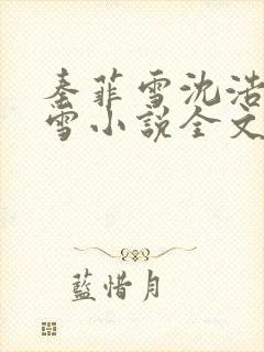 秦菲雪沈浩秦菲雪小说全文免费阅读求书