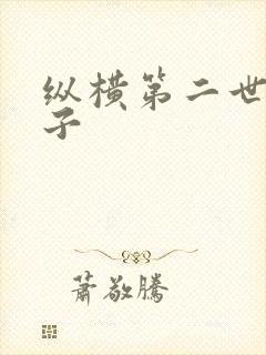 纵横第二世界宽子