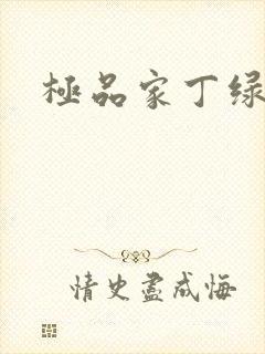 极品家丁绿帽版