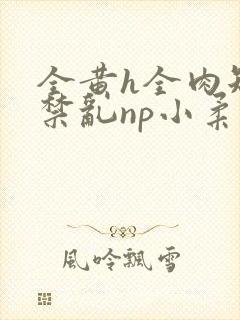 全黄h全肉短篇禁乱np小柔