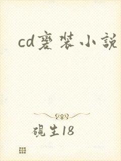 cd变装小说