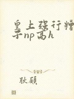 皇上强行糟蹋太子np高h