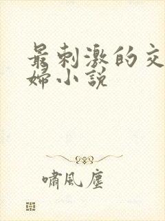 最刺激的交换夫妇小说