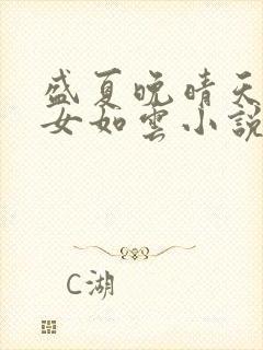 盛夏晚晴天之美女如云小说