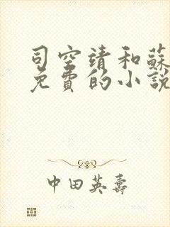 司空靖和苏月汐免费的小说笔趣阁