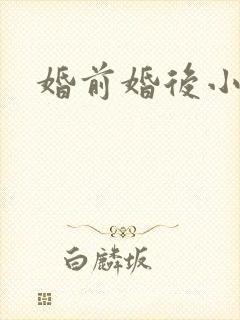 婚前婚后小说