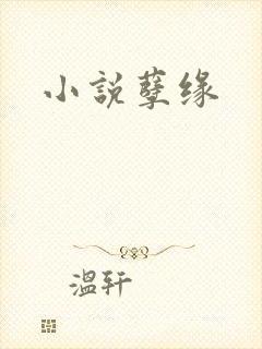 小说孽缘