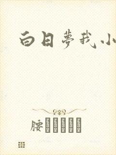 白日梦我小说