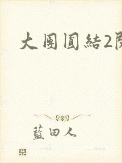 大团圆结2阅读