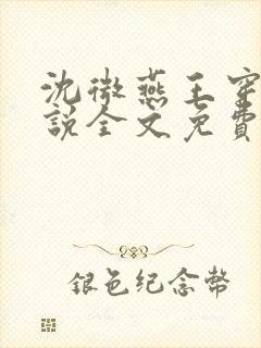 沈微燕王穿越小说全文免费阅读