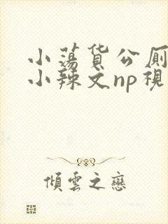 小荡货公厕h文小辣文np视频