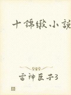 十锦缎小说