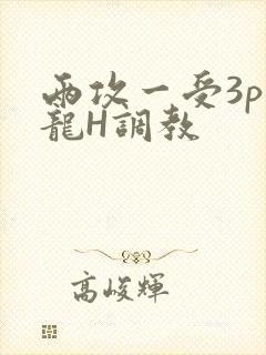 两攻一受3p双龙H调教