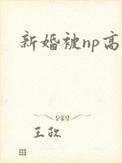 新婚被np高h