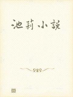 池莉小说
