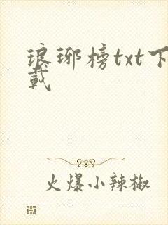 琅琊榜txt下载