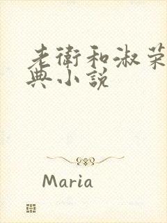 老卫和淑荣的经典小说